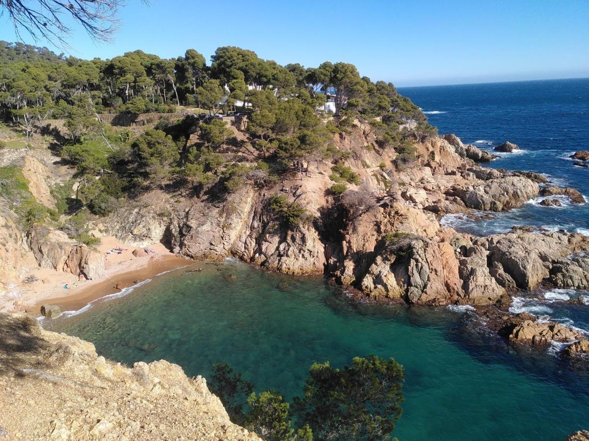 Hotel Mas Del Sol Vall-Llobrega Exteriér fotografie