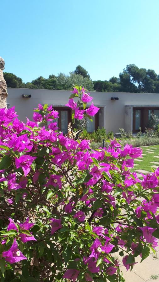 Hotel Mas Del Sol Vall-Llobrega Exteriér fotografie
